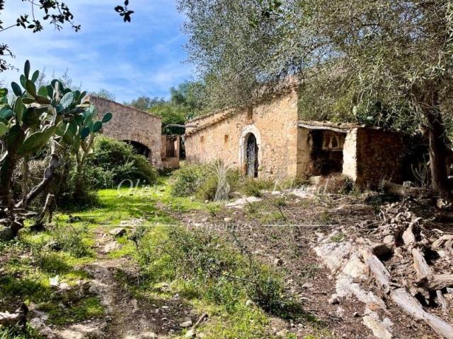 Terreno en venta en Sineu
