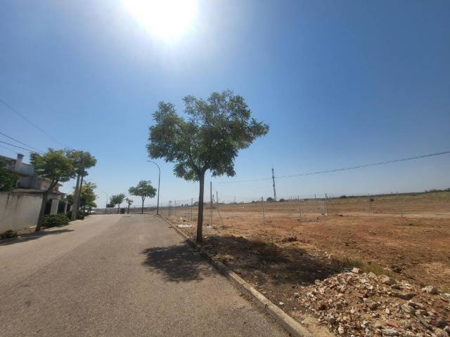 Terreno en venta en Sisante, Castilla-La Mancha