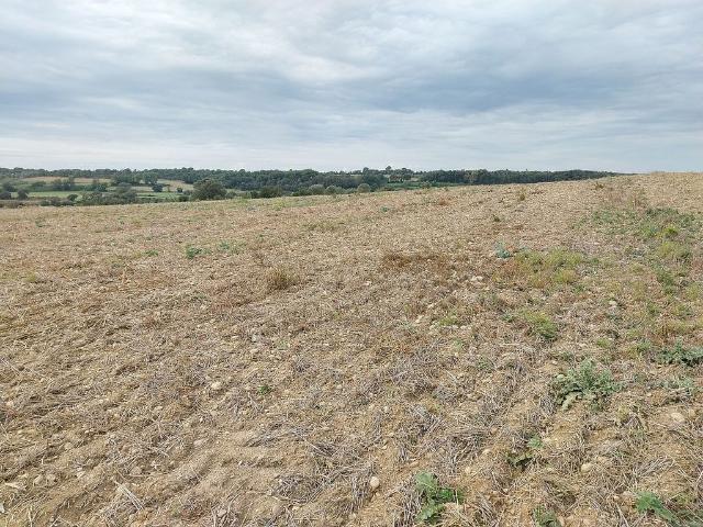 Terreno en venta en Alt Empordà, Catalunya