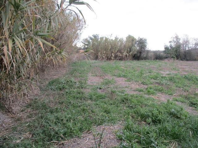 Terreno en venta en Alt Empordà, Catalunya