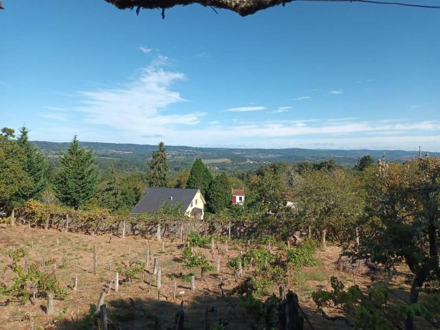 Terreno en venta en Monforte De Lemos, Monforte de Lemos