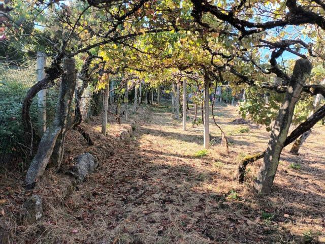 Terreno en venta en Monforte de Lemos, Terra de Lemos