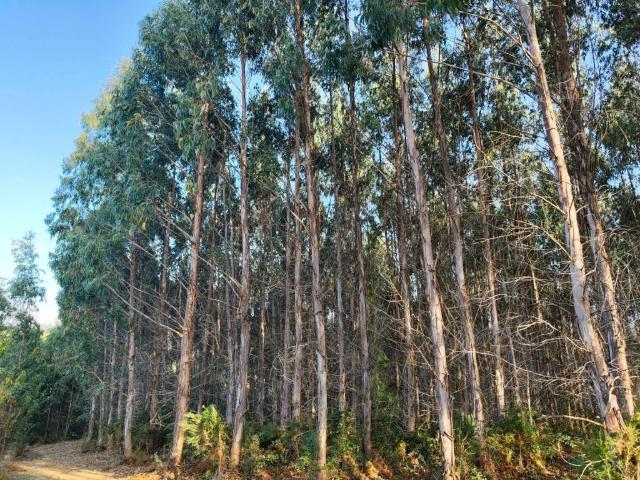 Terreno en venta en Fisterra, Galicia