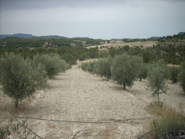 Terreno en venta en Socovos, Castilla-La Mancha