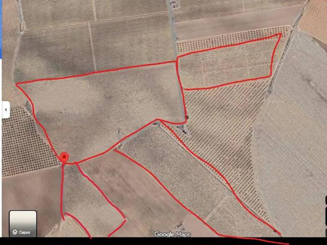 Terreno en venta en Socuéllamos, Castilla-La Mancha