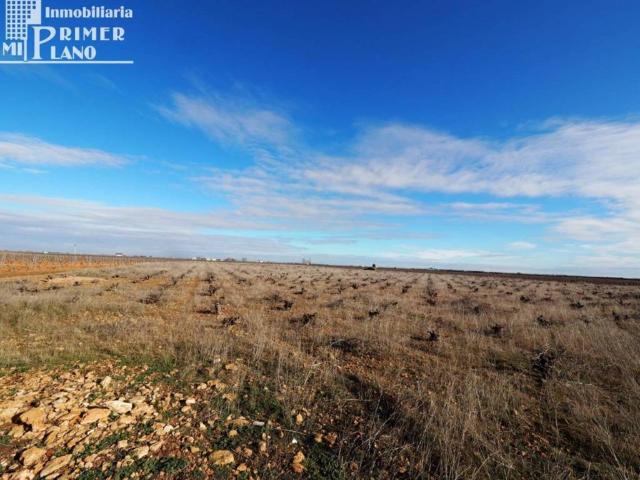 Terreno en venta en Socuéllamos, Castilla-La Mancha