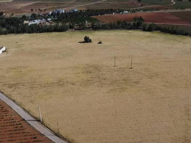 Terreno en venta en Socuéllamos, Castilla-La Mancha