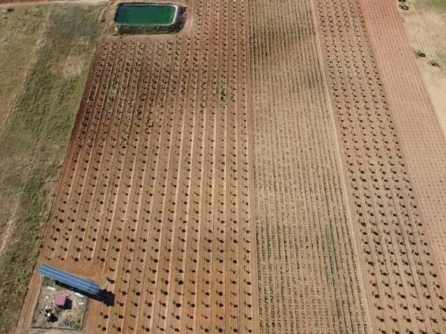 Terreno en venta en Socuéllamos, Castilla-La Mancha