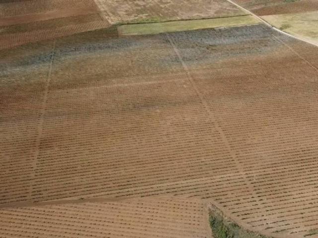 Terreno en venta en Socuéllamos, Castilla-La Mancha