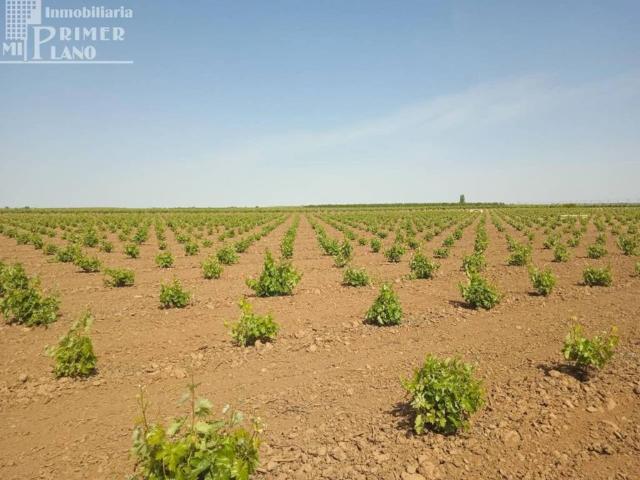 Terreno en venta en Socuéllamos, Castilla-La Mancha