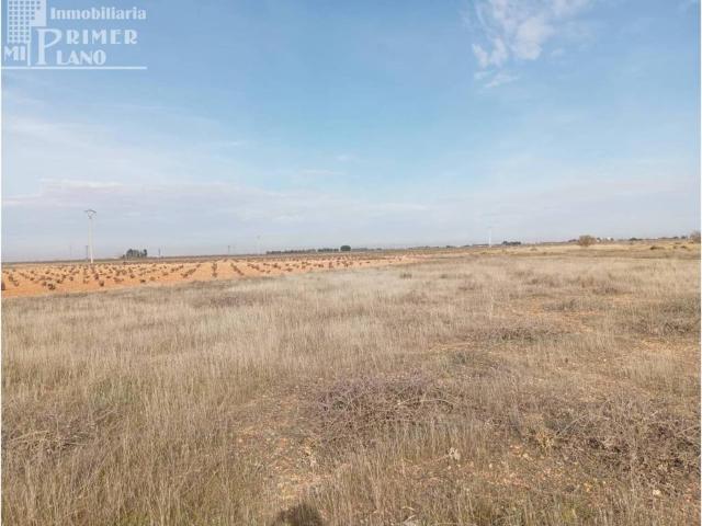 Terreno en venta en Socuéllamos, Castilla-La Mancha