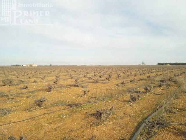 Terreno en venta en Socuéllamos, Castilla-La Mancha