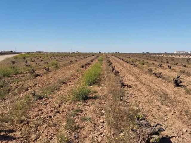 Terreno en venta en Socuéllamos, Castilla-La Mancha