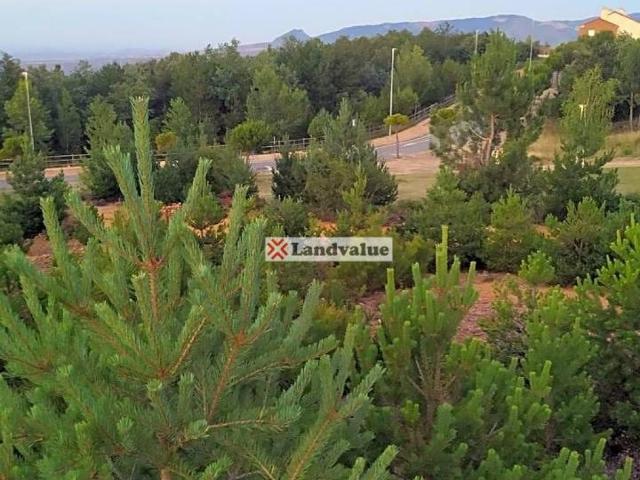 Terreno en venta en Sojuela, La Rioja