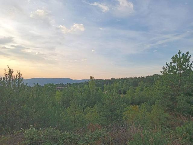Terreno en venta en Sojuela, La Rioja