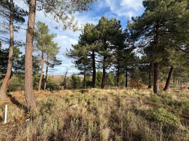Terreno en venta en Sojuela, La Rioja