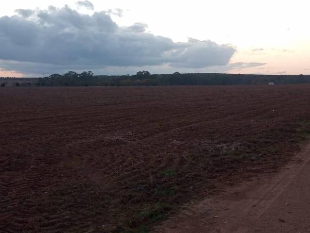 Terreno en venta en Tierra de Barros, Extremadura