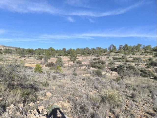 Terreno en venta en Sollana, la Ribera Baixa