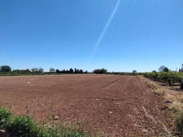 Terreno en venta en la Ribera Baixa, Valencia
