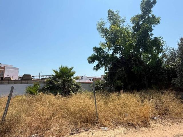 Terreno en venta en la Ribera Baixa, Valencia