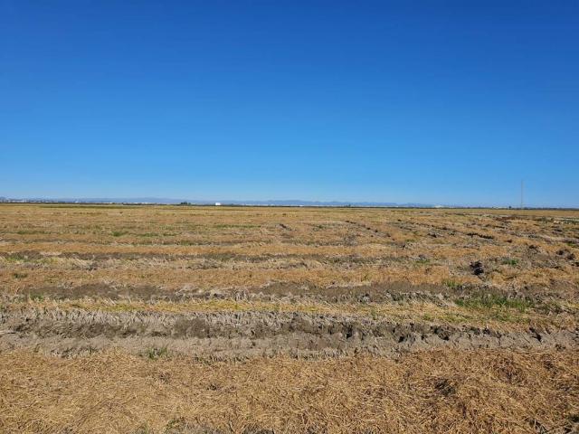 Terreno en venta en la Ribera Baixa, Valencia