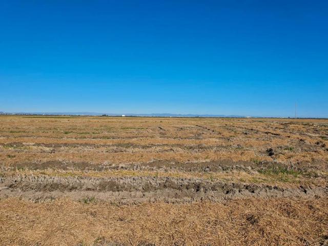 Terreno en venta en Sollana, la Ribera Baixa
