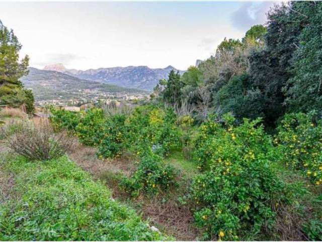 Terreno en venta en Serra de Tramuntana, Baleares