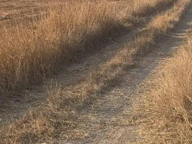 Terreno en venta en Serra de Tramuntana, Baleares