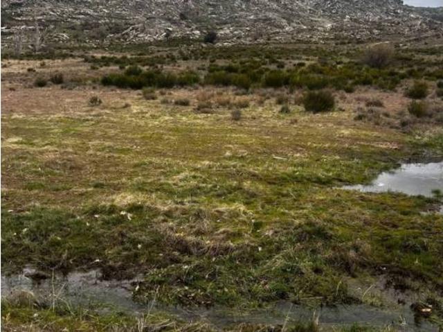 Terreno en venta en Solosancho, Castilla y León