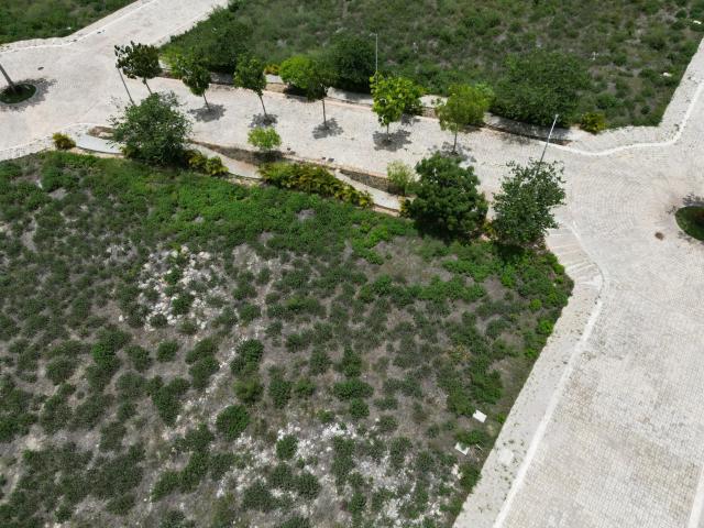 Terreno en venta en Temozón, Yucatán