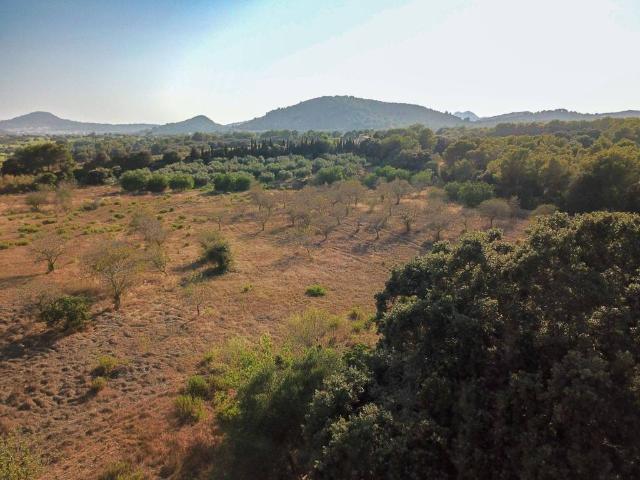 Terreno en venta en Llevant, Baleares