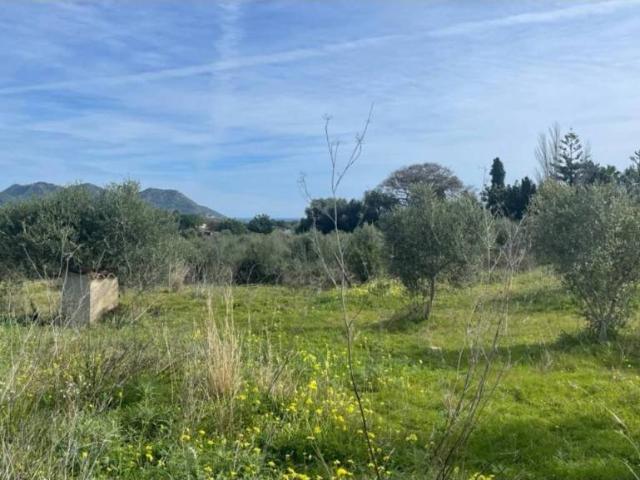 Terreno en venta en Llevant, Baleares