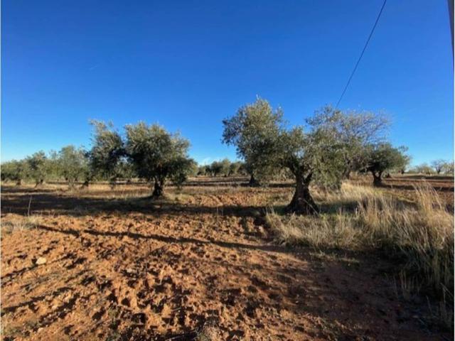 Terreno en venta en Sonseca, Castilla-La Mancha