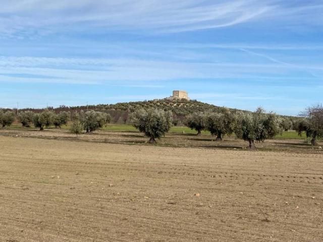 Terreno en venta en Sonseca, Castilla-La Mancha