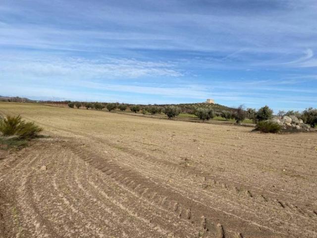Terreno en venta en Sonseca, Castilla-La Mancha