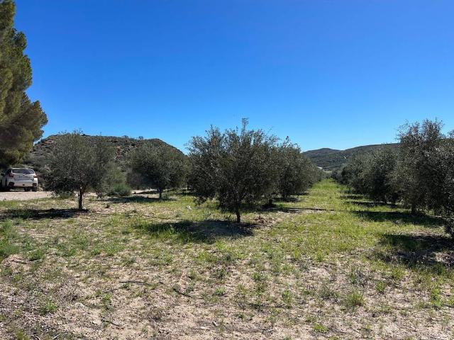 Terreno en venta en Sorbas, Andalucía