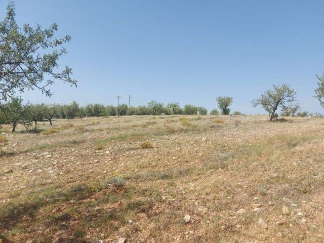 Terreno en venta en Sorbas, Andalucía