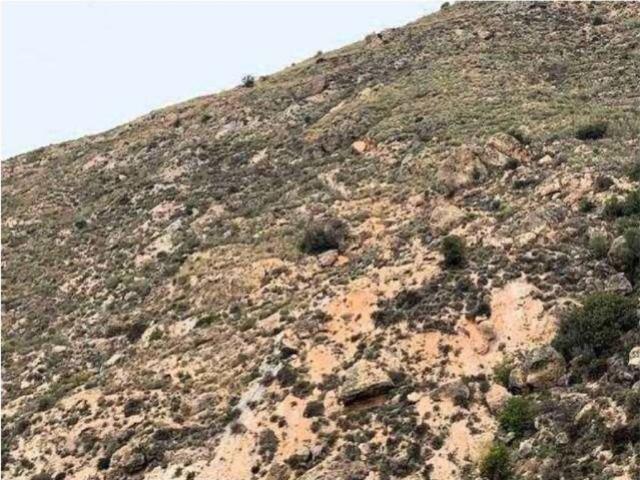 Terreno en venta en Uleila Del Campo, Andalucía