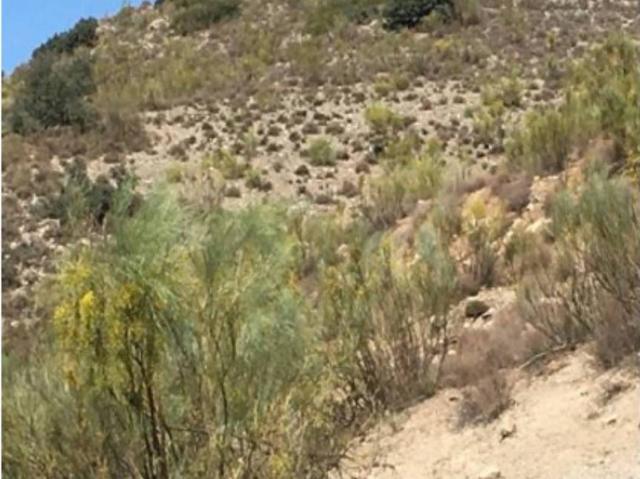 Terreno en venta en Uleila Del Campo, Andalucía