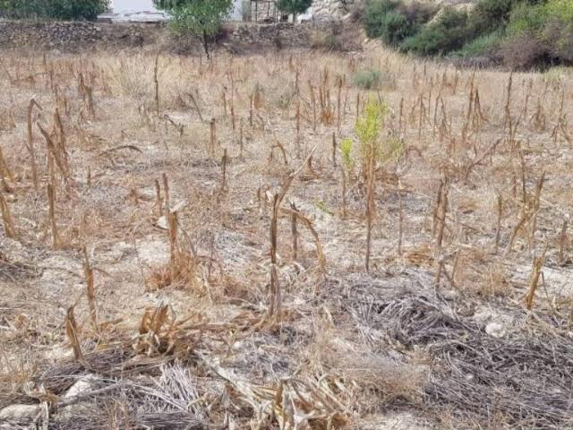 Terreno en venta en Sorbas, Andalucía