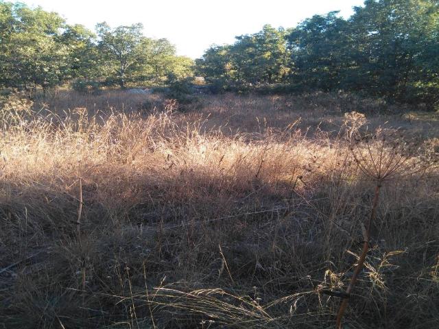 Terreno en venta en Soria, Castilla y León