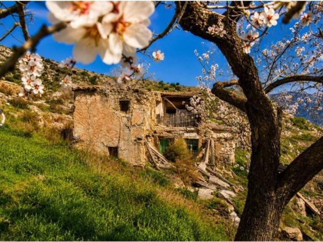 Terreno en venta en Sorvilán, Granada