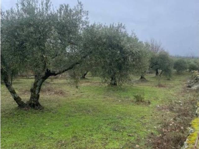Terreno en venta en Sotillo De La Adrada, Castilla y León