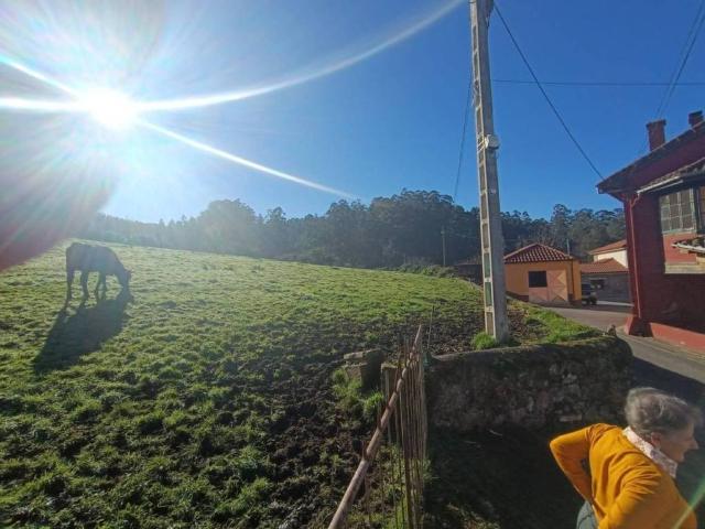 Terreno en venta en Soto Del Barco, Asturias