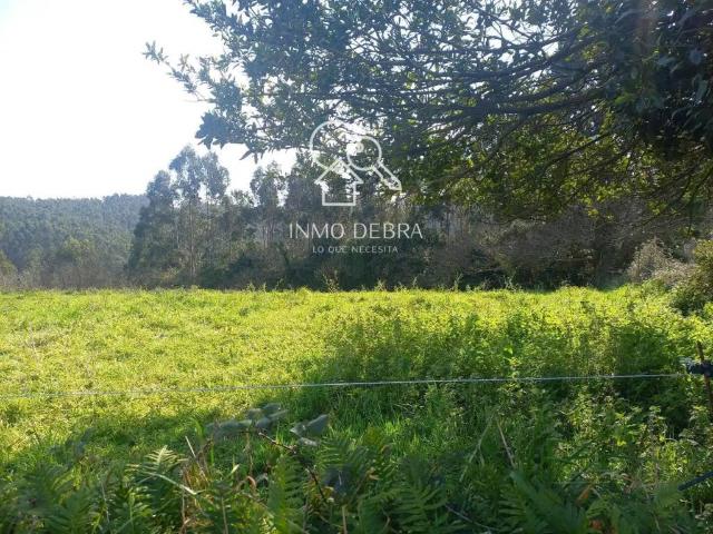 Terreno en venta en Soto Del Barco, Asturias