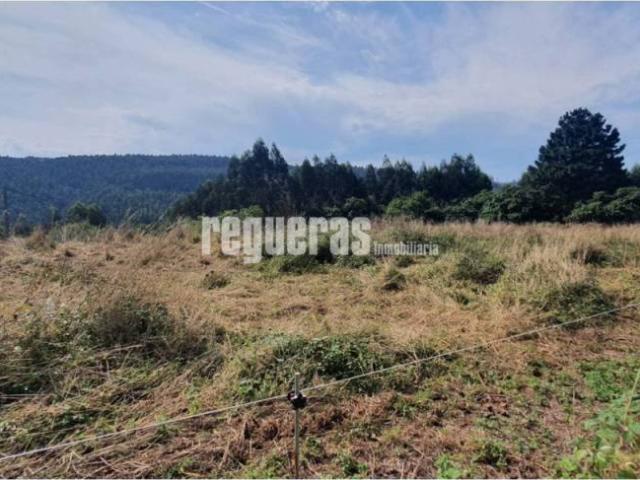 Terreno en venta en Soto Del Barco, Asturias