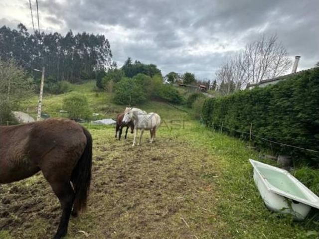 Terreno en venta en Soto Del Barco, Asturias