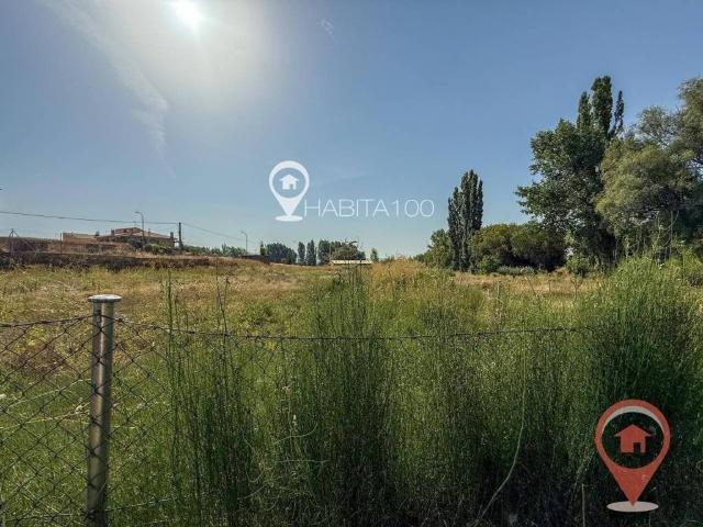 Terreno en venta en Sotorribas, Castilla-La Mancha