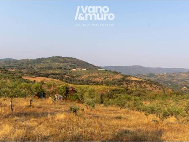 Terreno en venta en Sotoserrano, Castilla y León