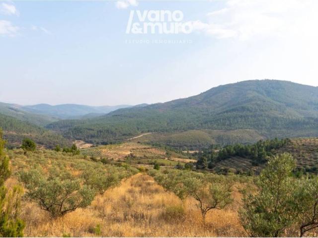 Terreno en venta en Sotoserrano, Castilla y León